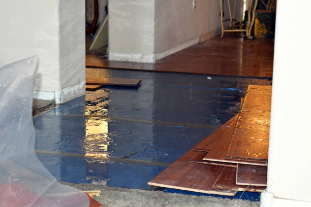 Professional Sewage Cleanup technician working in Perry, ME